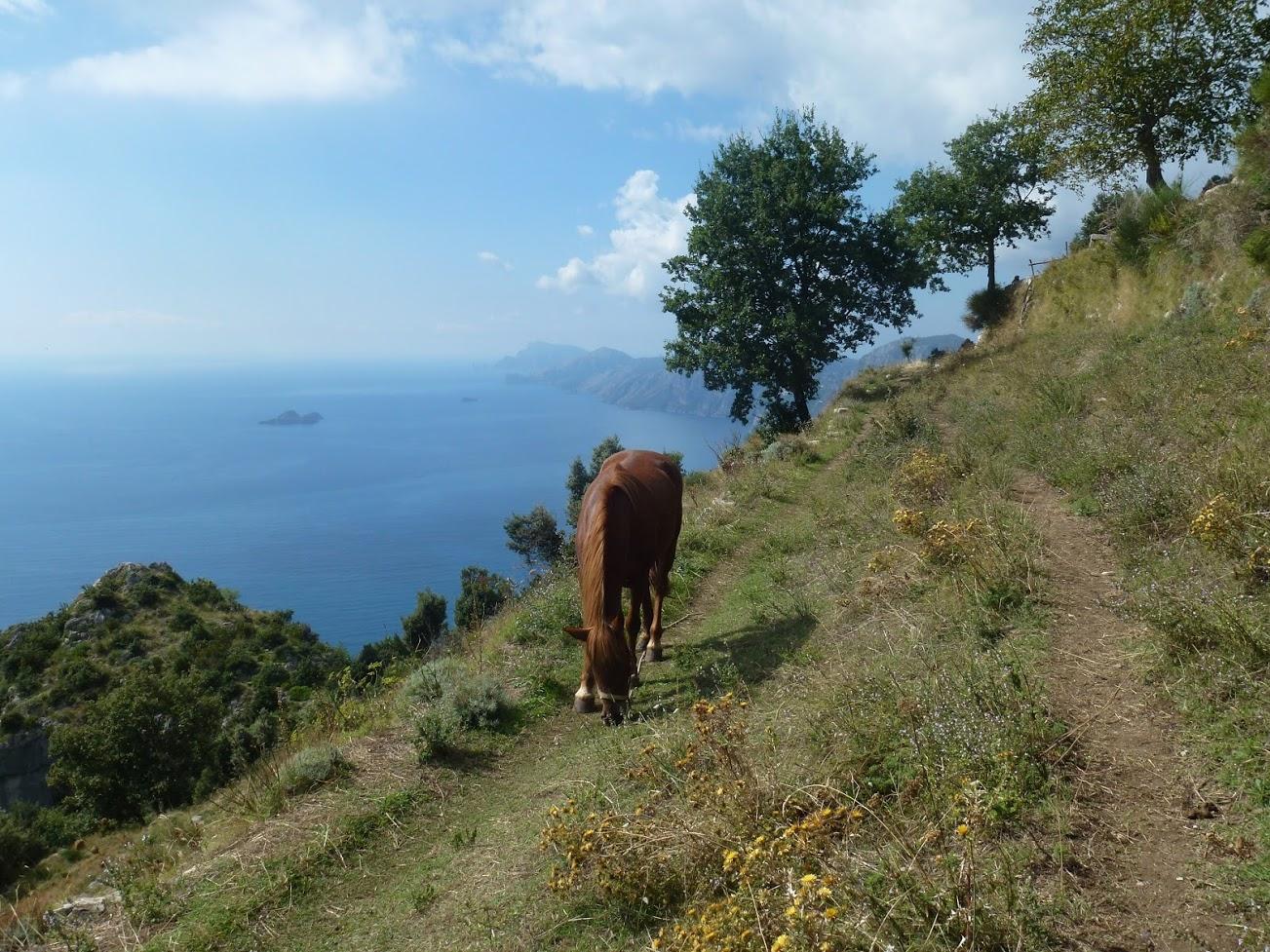 Amalfi Coast Walking