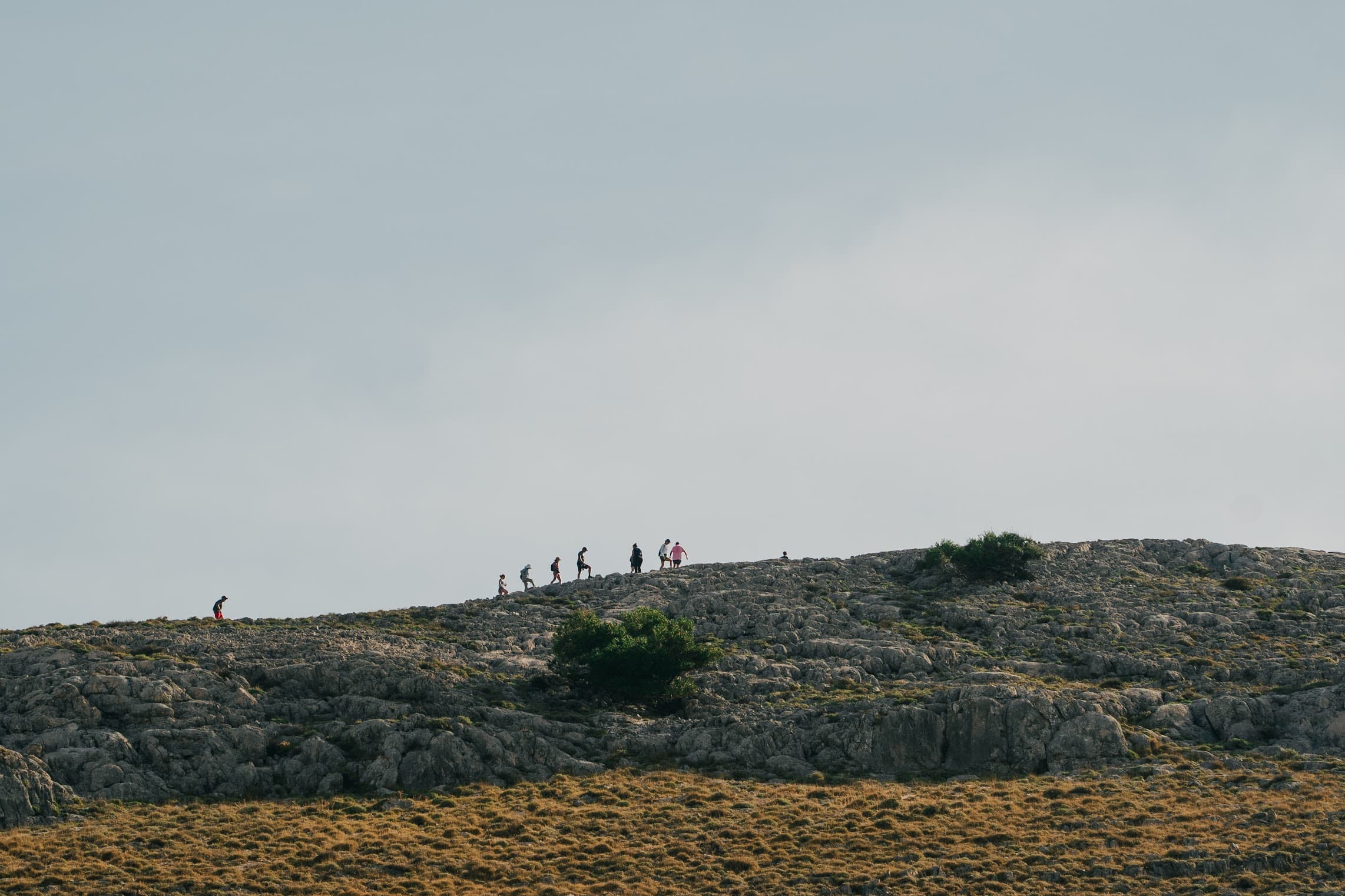 hero-banner-image-123