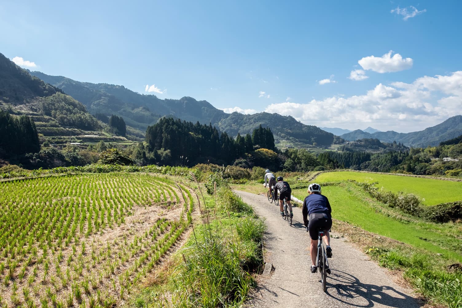 Explore southern Japan by bike, through verdant fields and forested mountain roads.