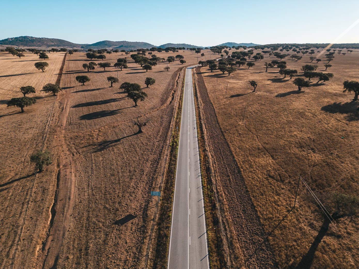 Portugal’s rolling cork oak forests in Alentejo.