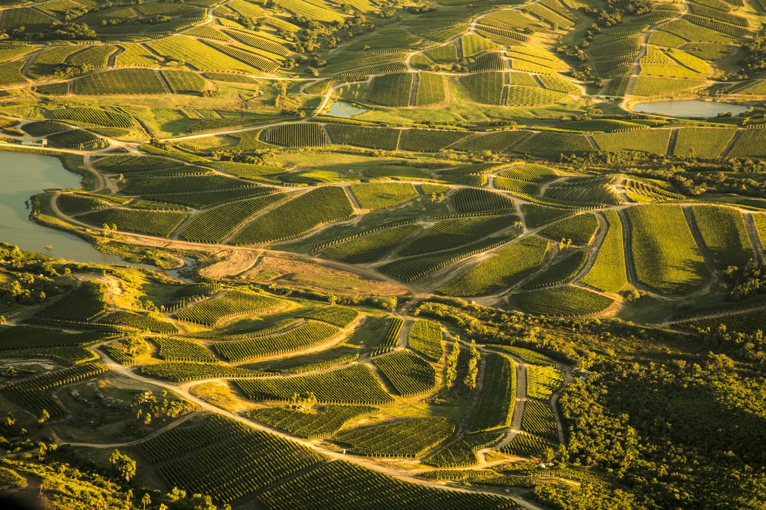 Bodega Garzón—renowned for sustainable vineyards and award-winning wines.