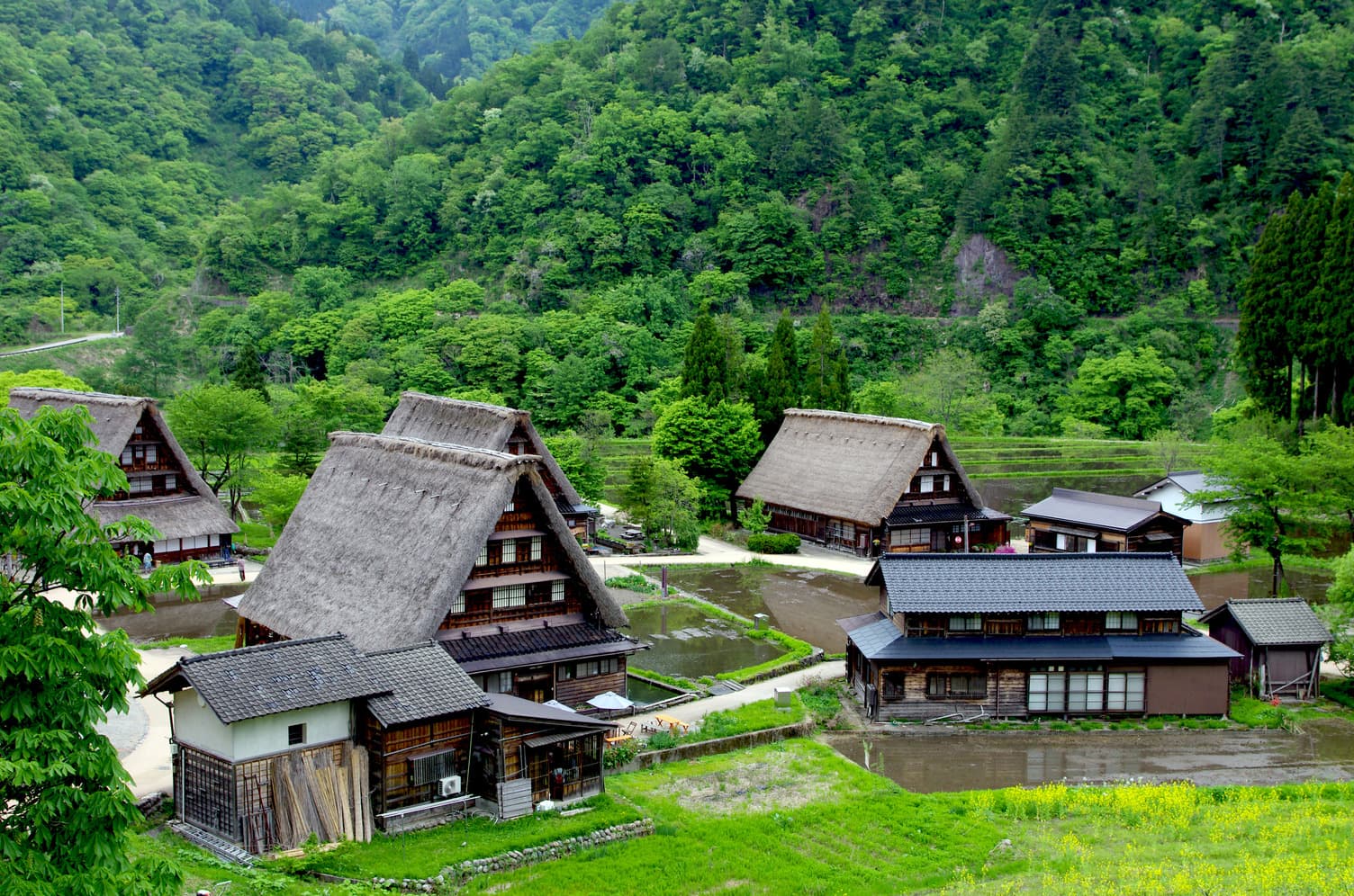 hero-banner-image-123