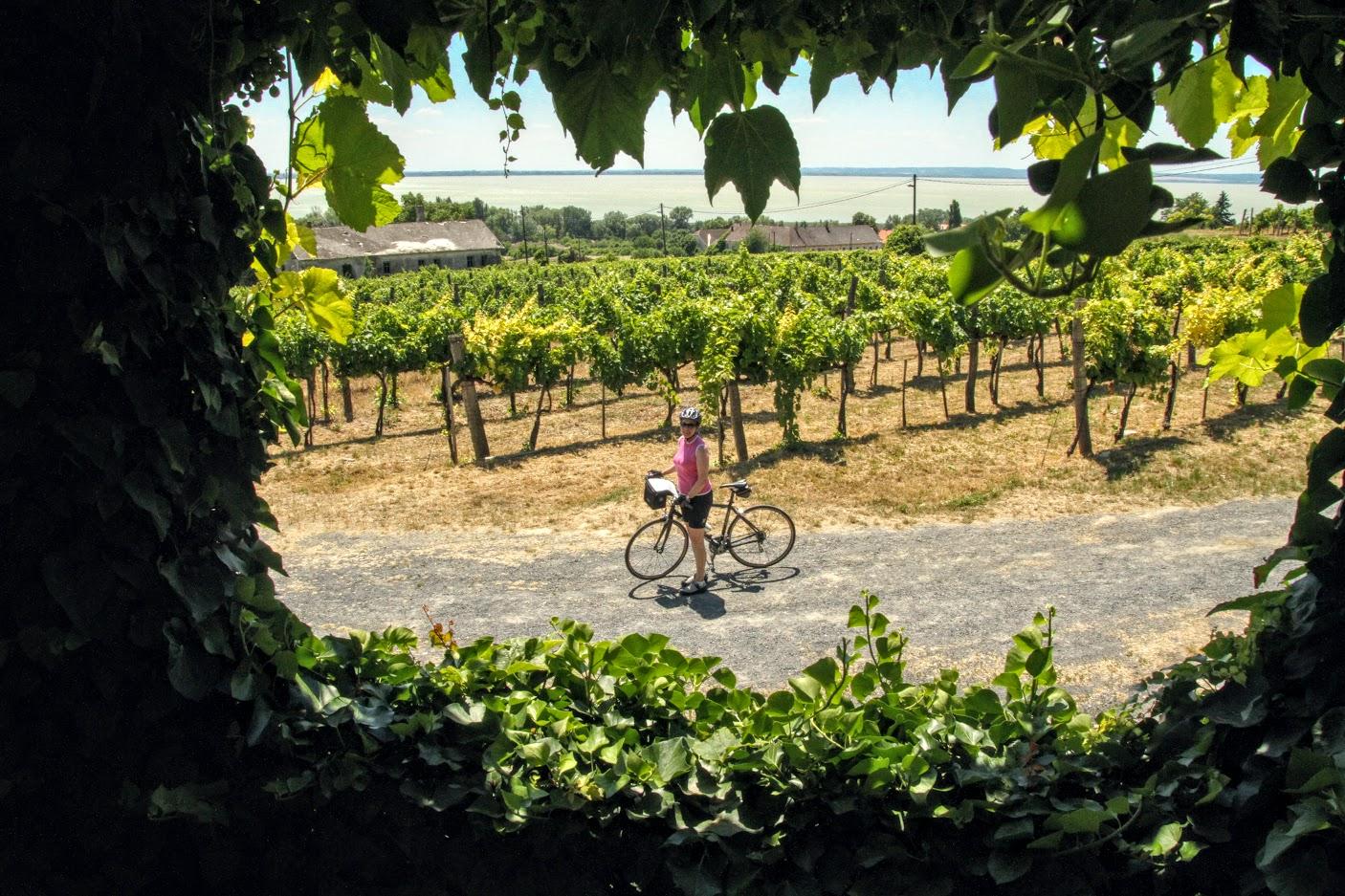 Vienna to Budapest Wine Country Biking