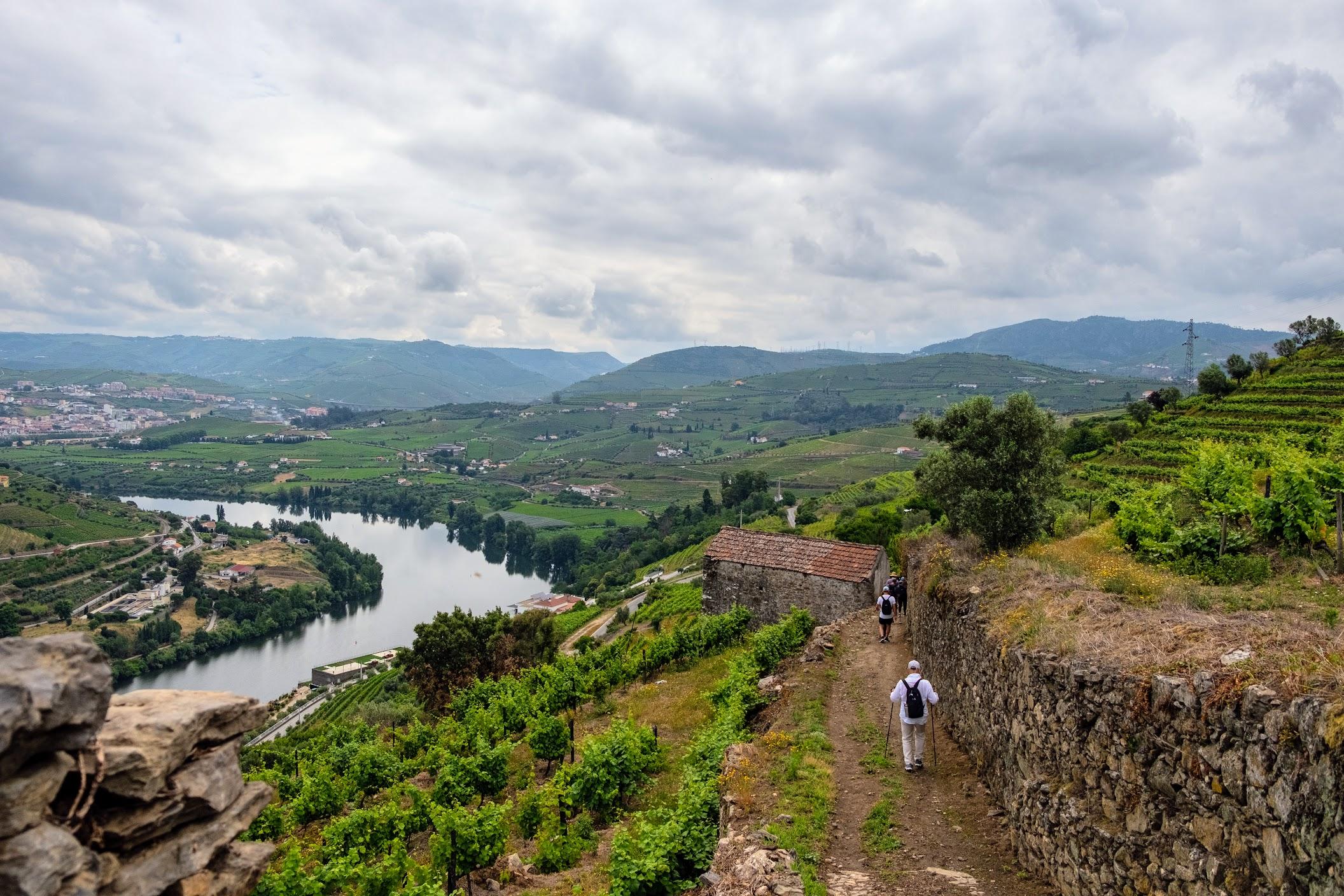 Douro Valley Multi-Active