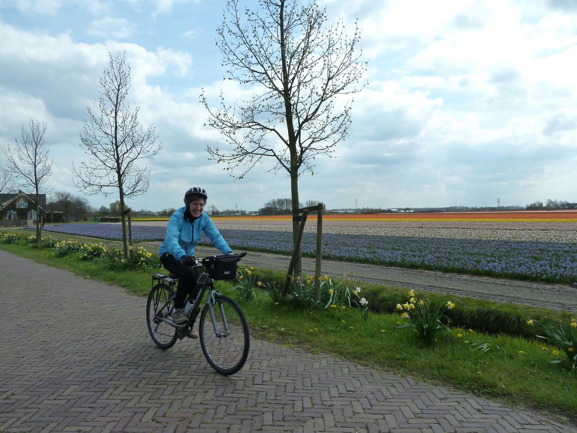 Netherlands Biking