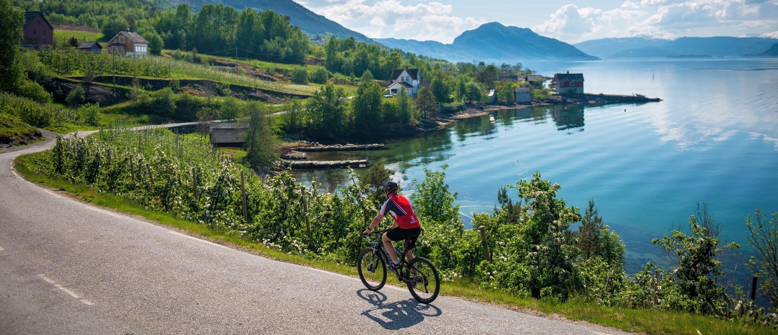 Norway Biking