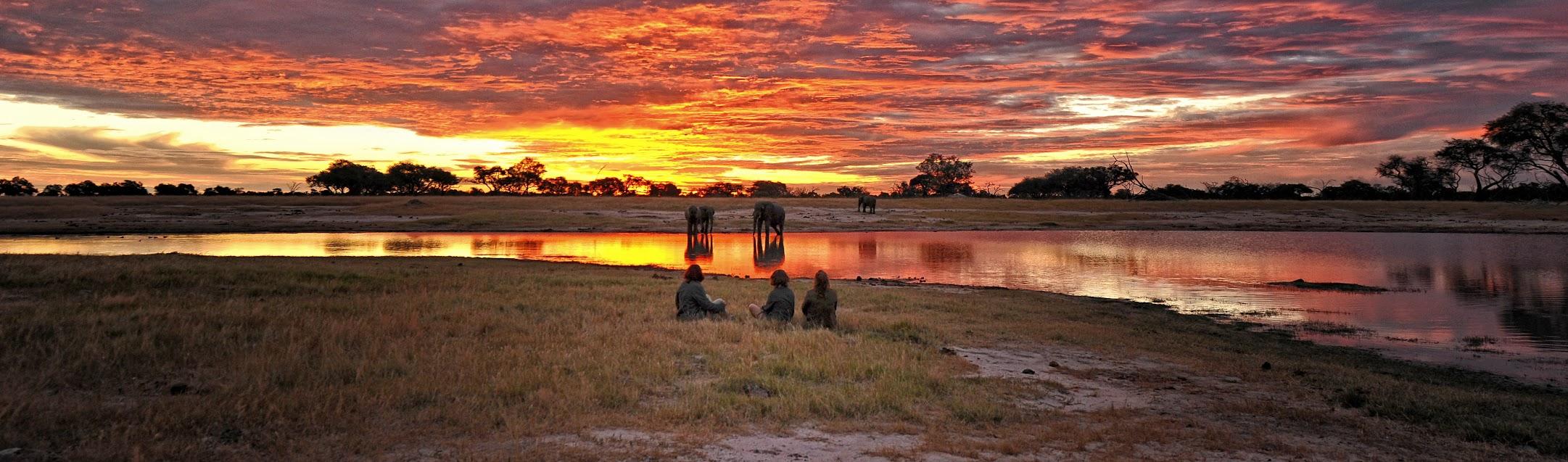Zimbabwe Conservation Safari