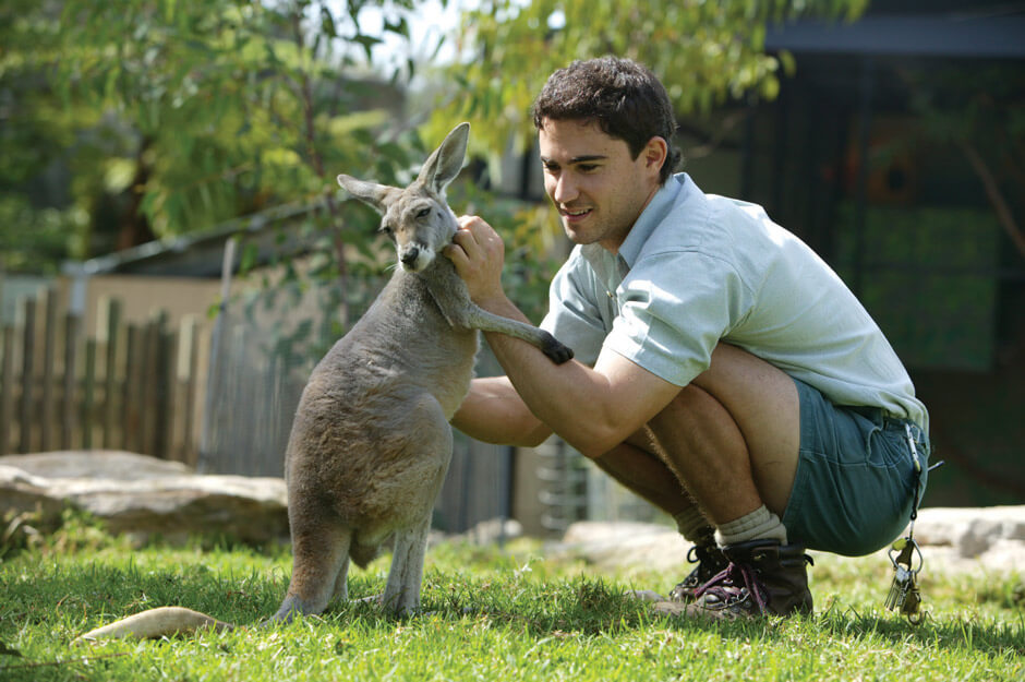 Люди животные названия. Таронга Сидней. Таронга зоопарк кенгуру. Зоопарк Таронга в Австралии. Кенгуру и человек.